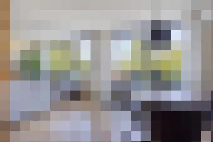 Laan der Zeven Linden 89 Delfgauw thumbnail 17