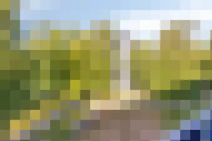 Laan der Zeven Linden 89 Delfgauw thumbnail 23