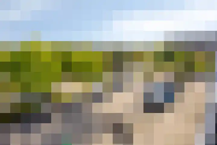 Laan der Zeven Linden 89 Delfgauw thumbnail 24