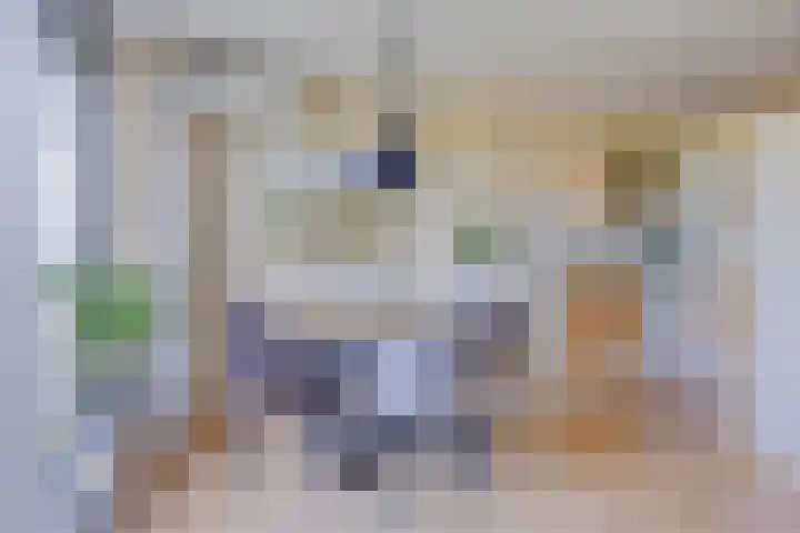 Laan der Zeven Linden 89 Delfgauw thumbnail 4