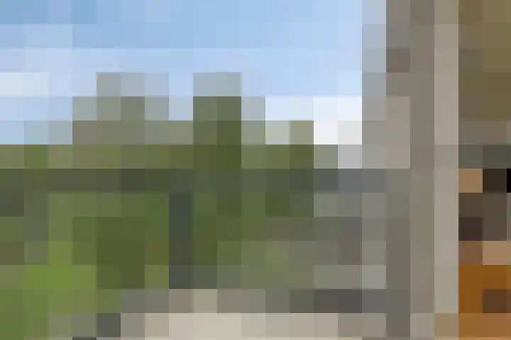 Laan der Zeven Linden 95 Delfgauw thumbnail 25