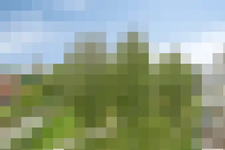 Laan der Zeven Linden 95 Delfgauw thumbnail 28