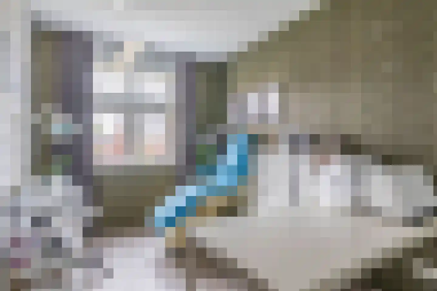 Laan door de Panakkers 14 Nuenen thumbnail 23