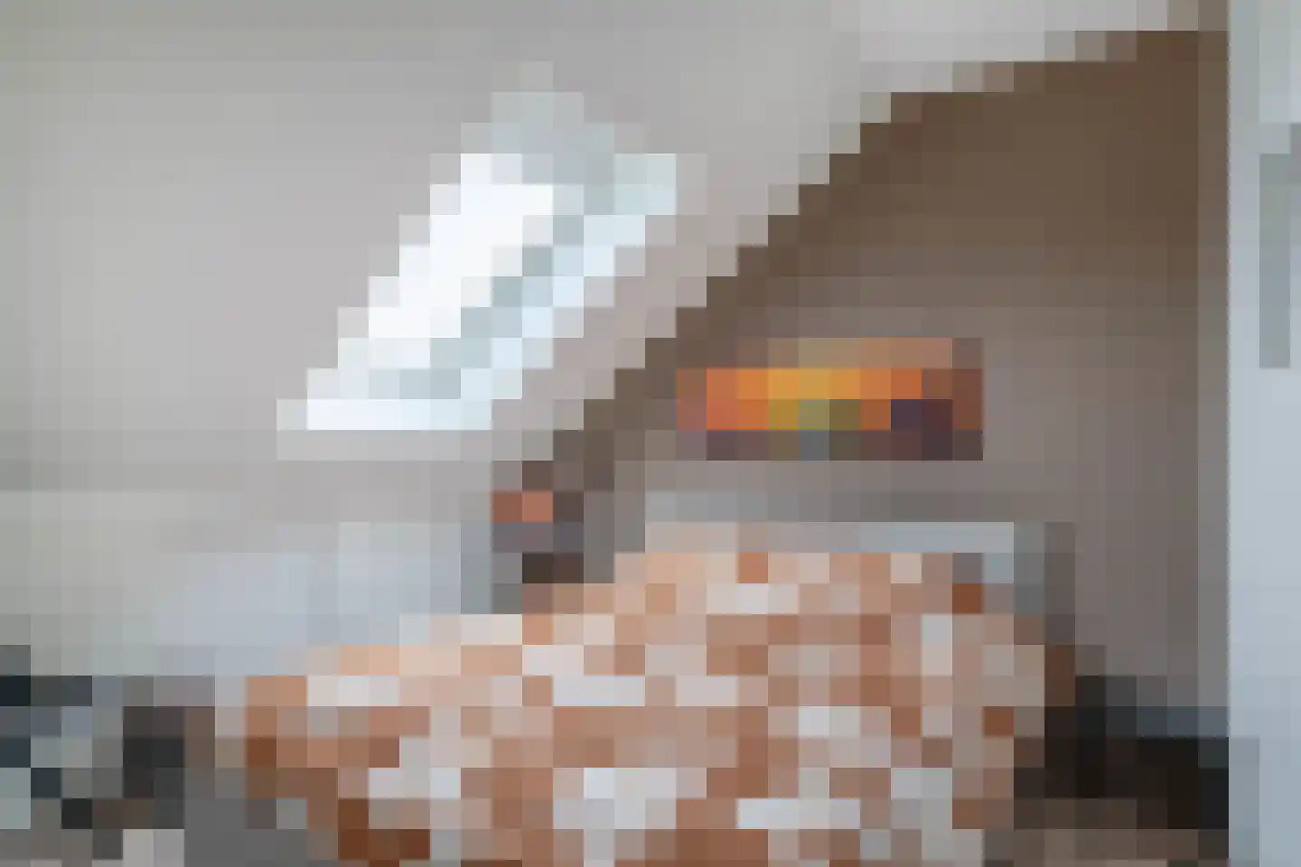 Laan door de Panakkers 14 Nuenen thumbnail 30