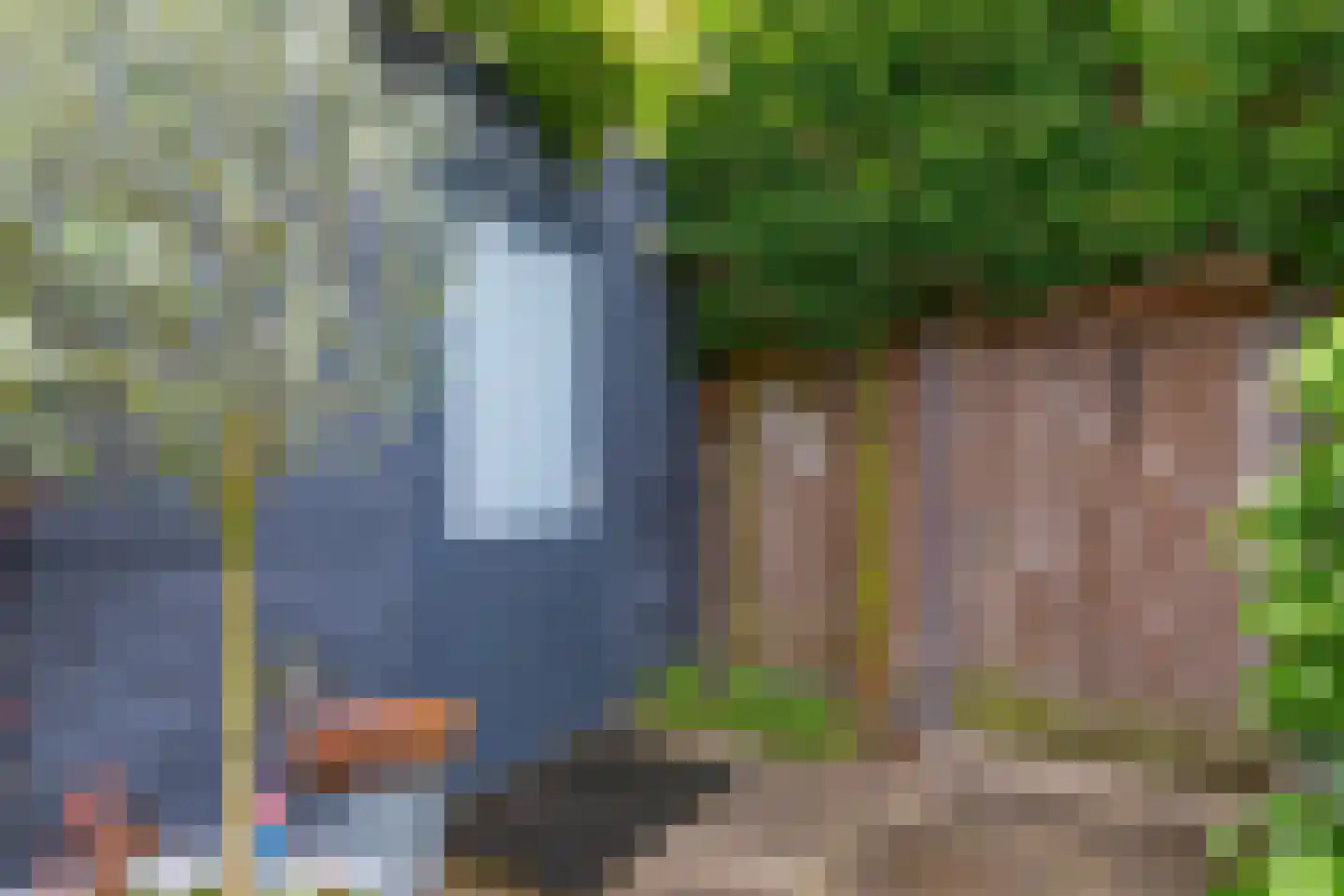 Laan door de Panakkers 14 Nuenen thumbnail 33