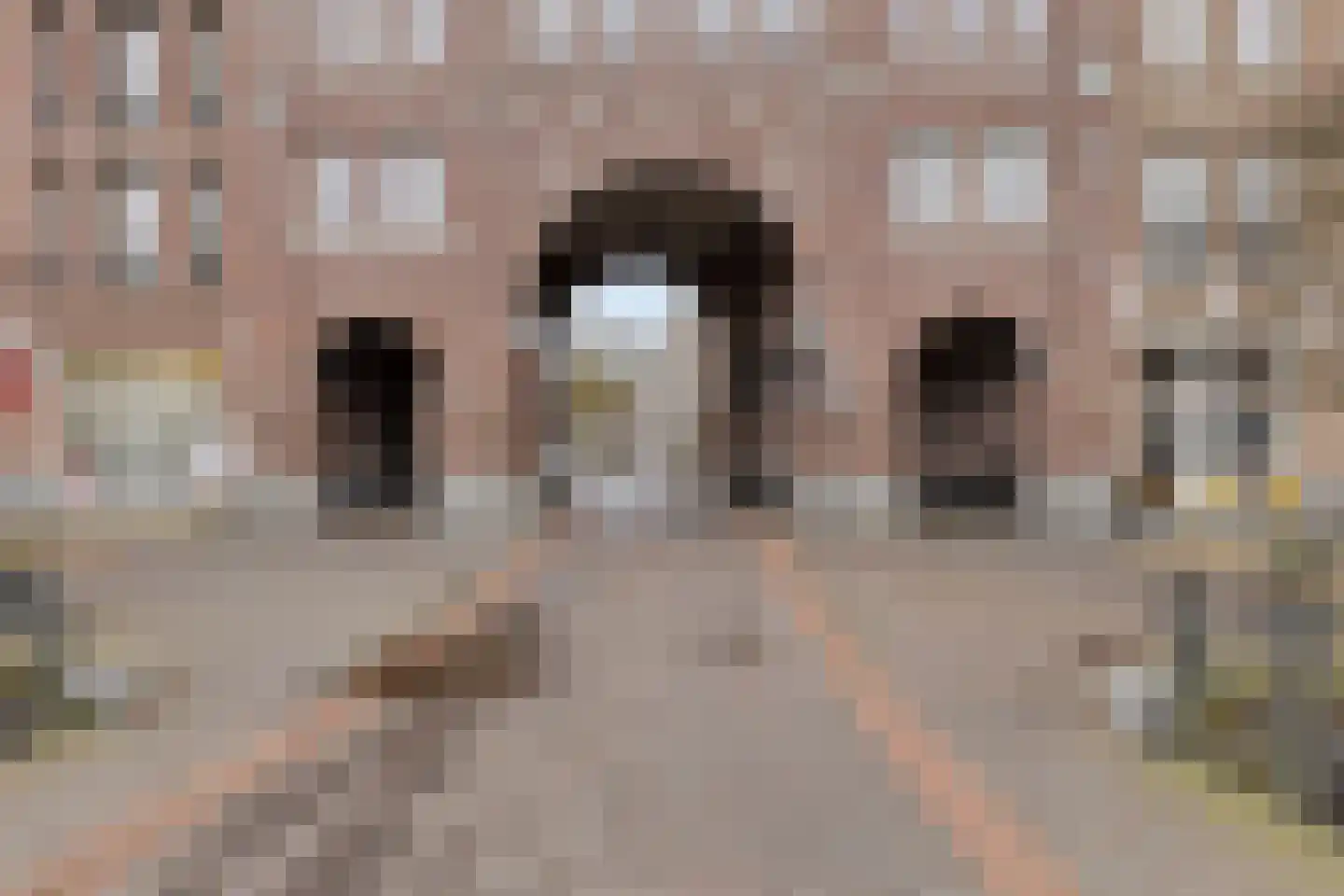 Laan door de Veste 14 Helmond thumbnail 27