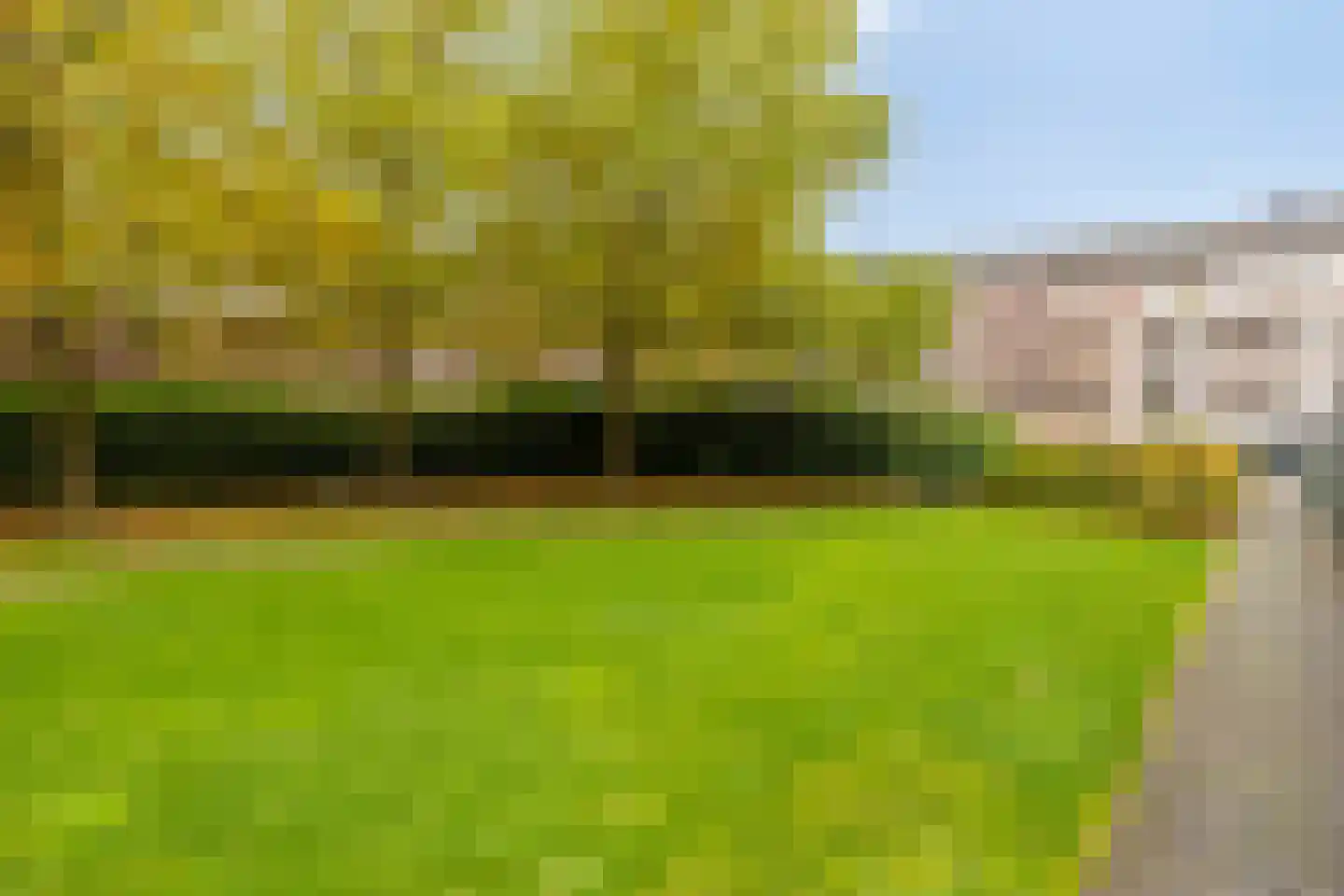 Laan door de Veste 163 Helmond thumbnail 33