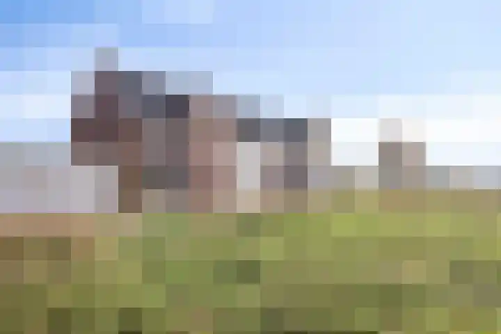 Laan door de Veste 171 Helmond thumbnail 44