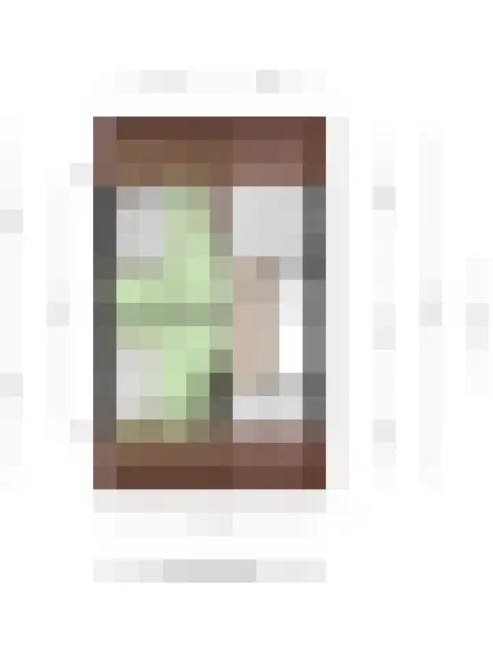 Laan door de Veste 171 Helmond thumbnail 52