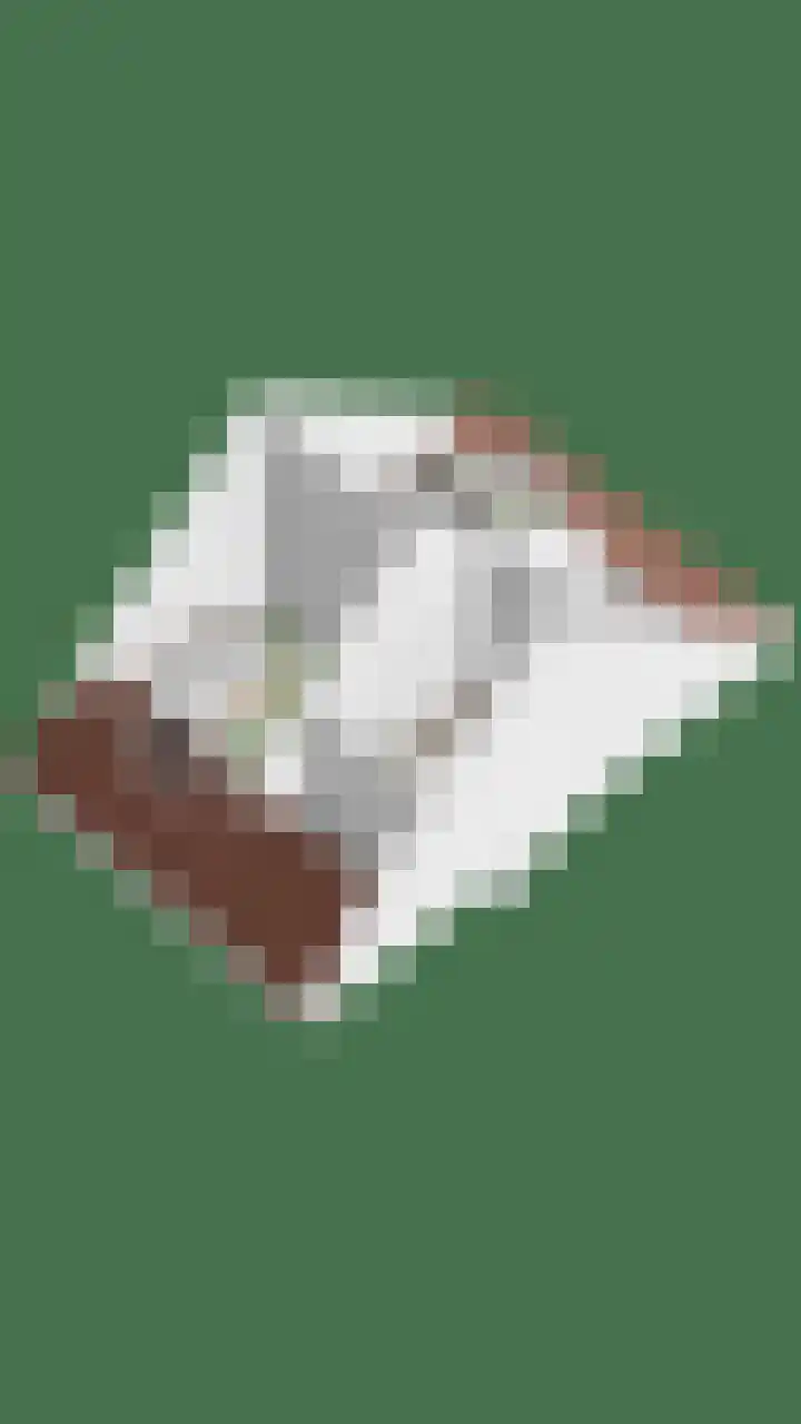 Laan door de Veste 171 Helmond thumbnail 53