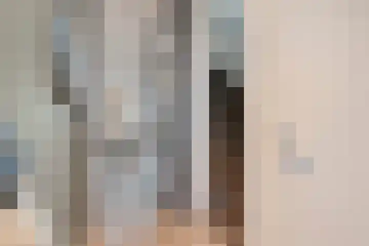 Laan door de Veste 171 Helmond thumbnail 8