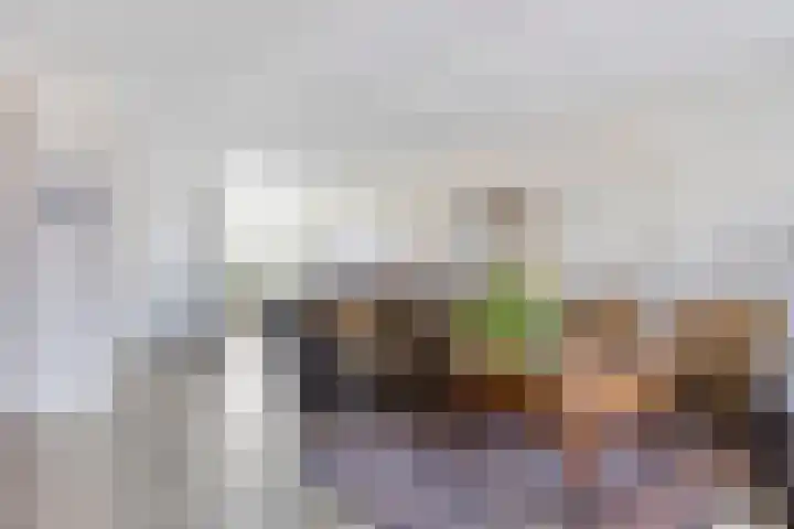 Laan door de Veste 175 Helmond thumbnail 7