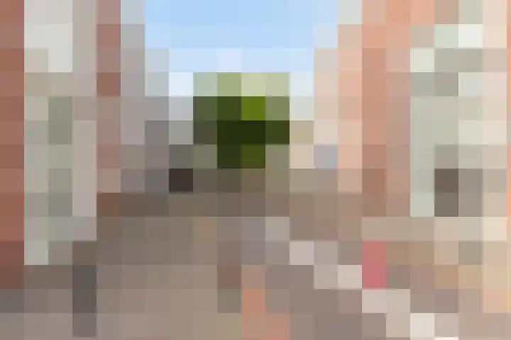 Laan door de Veste 22 Helmond thumbnail 34