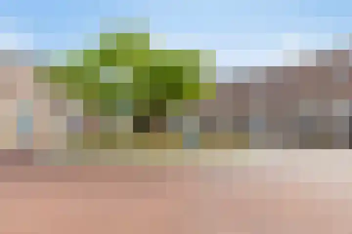Laan door de Veste 22 Helmond thumbnail 6