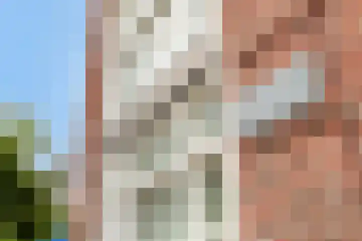 Laan door de Veste 22 Helmond thumbnail 8