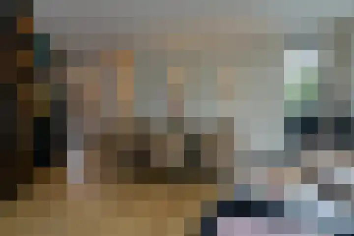 Laan door de Veste 23 Helmond thumbnail 13