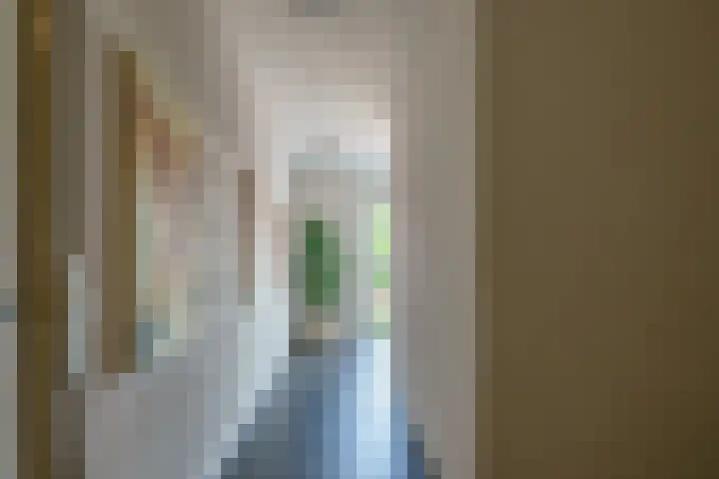 Laan door de Veste 27 Helmond thumbnail 7