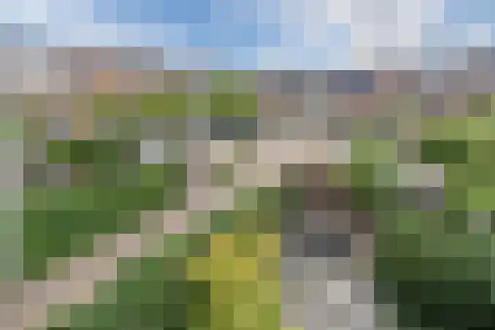 Laan door de Veste 44 Helmond thumbnail 38