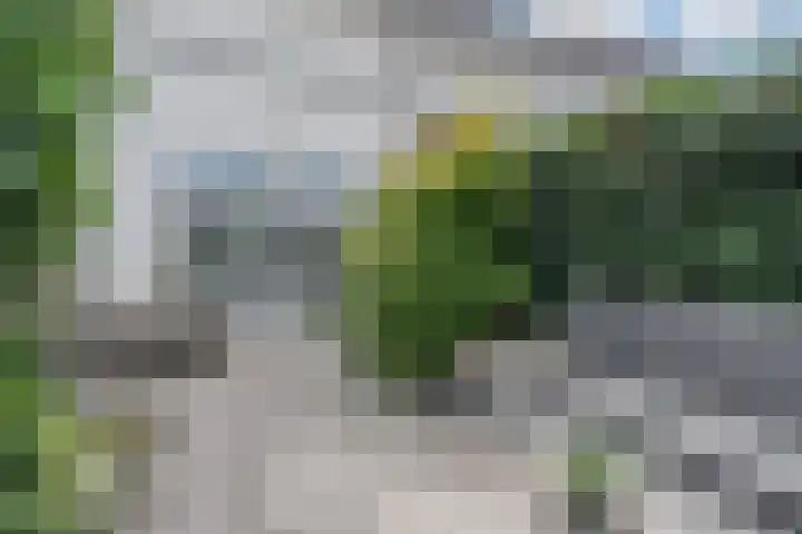 Laan door de Veste 44 Helmond thumbnail 42