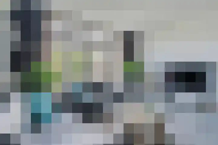 Laan door de Veste 44 Helmond thumbnail 8