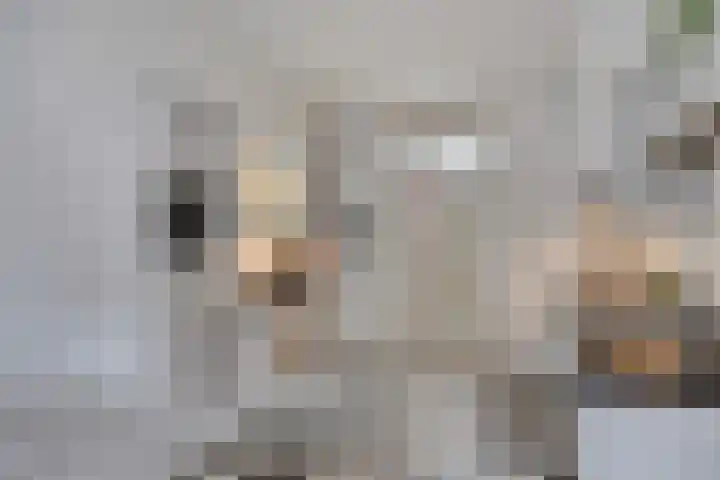 Laan door de Veste 5 Helmond thumbnail 14