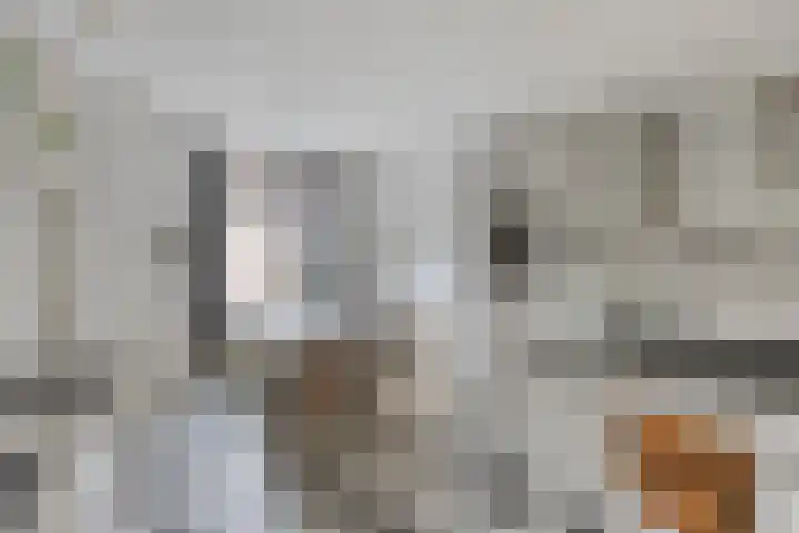 Laan door de Veste 5 Helmond thumbnail 15