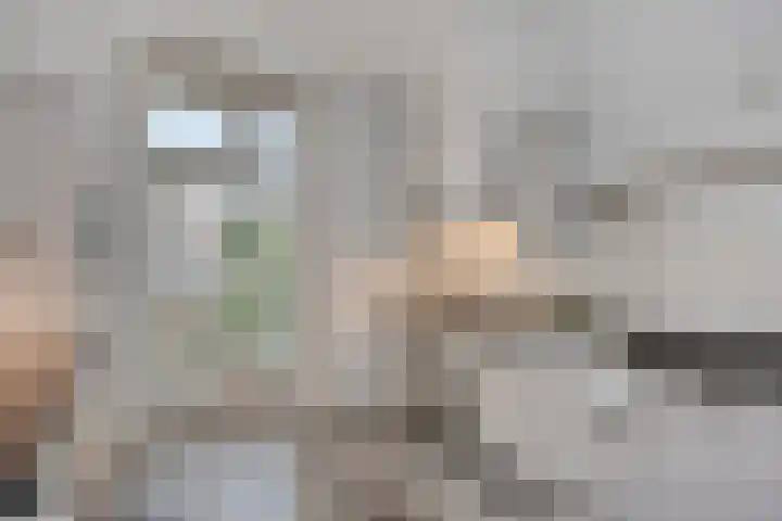 Laan door de Veste 5 Helmond thumbnail 16