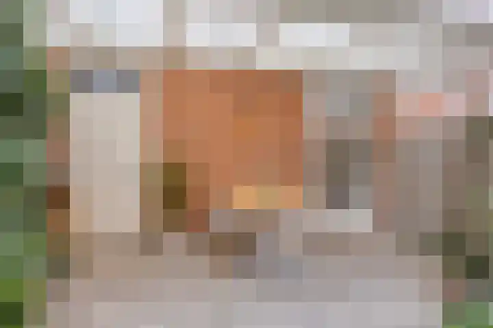 Laan door de Veste 5 Helmond thumbnail 20
