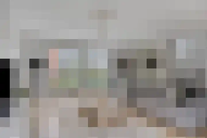 Laan door de Veste 5 Helmond thumbnail 22