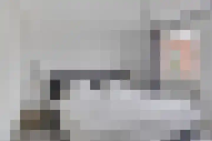 Laan door de Veste 5 Helmond thumbnail 26