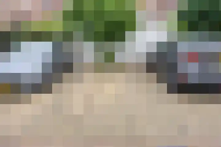 Laan door de Veste 5 Helmond thumbnail 35