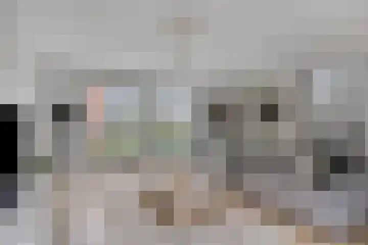 Laan door de Veste 5 Helmond thumbnail 4