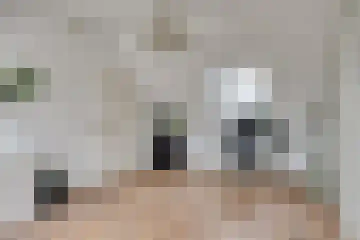 Laan door de Veste 5 Helmond thumbnail 5