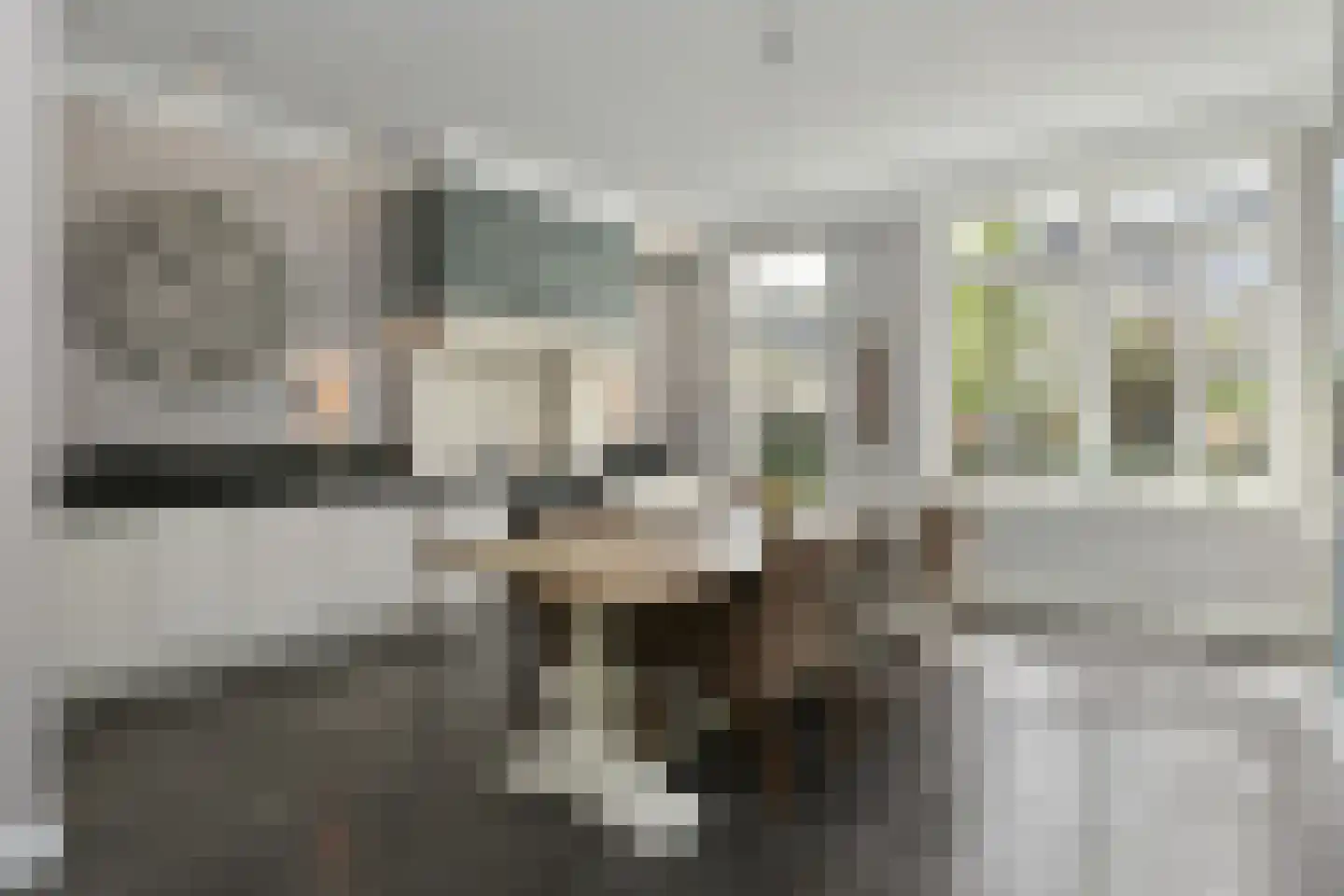 Laan door de Veste 55 Helmond thumbnail 10