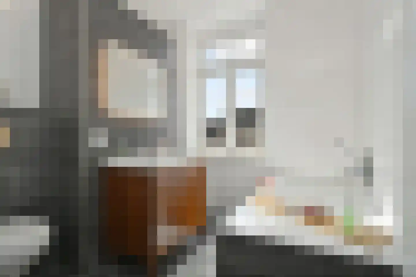 Laan door de Veste 55 Helmond thumbnail 30