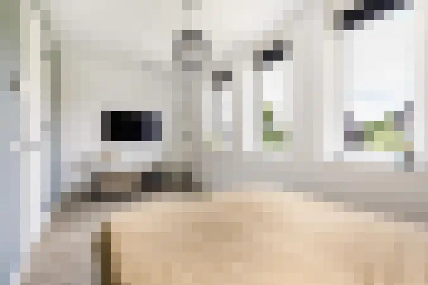 Laan door Hoevelaar 24 Woudenberg thumbnail 22
