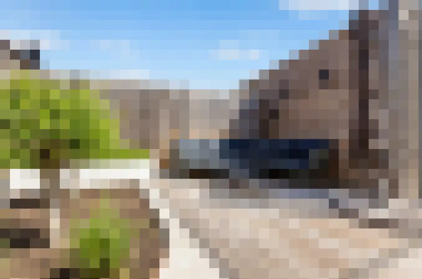 Laan door Hoevelaar 24 Woudenberg thumbnail 33