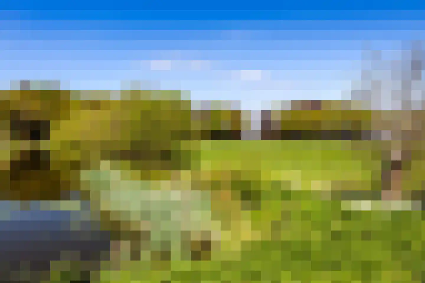 Laan door Hoevelaar 24 Woudenberg thumbnail 38