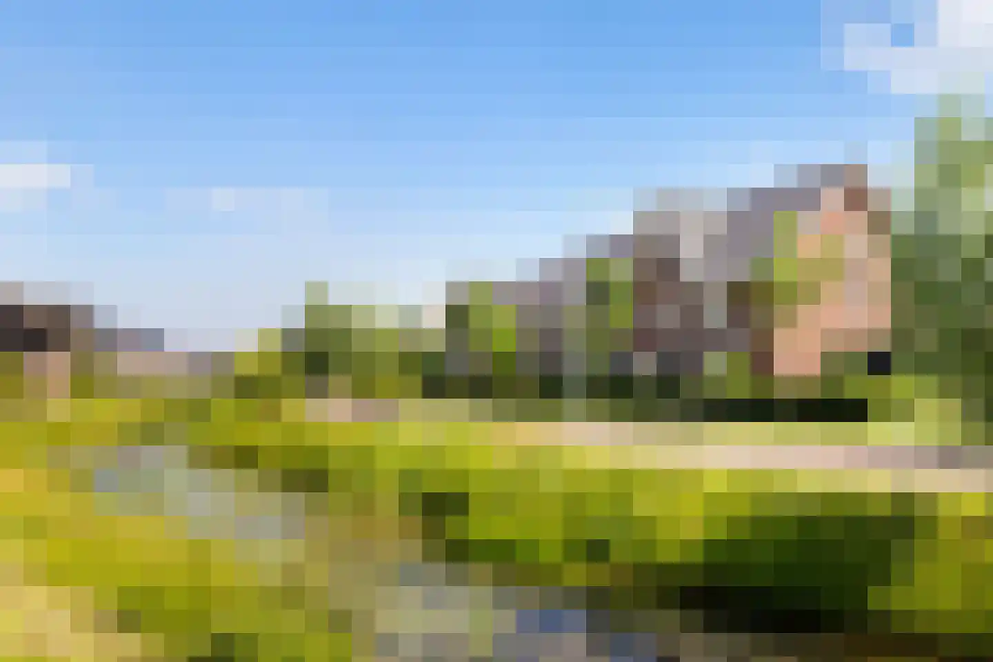 Laan door Hoevelaar 24 Woudenberg thumbnail 6