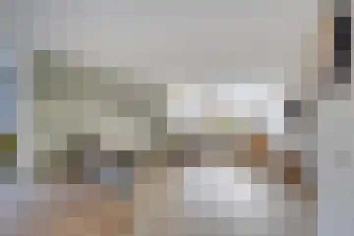 Laan Eindeloos 14 Heiloo foto 2
