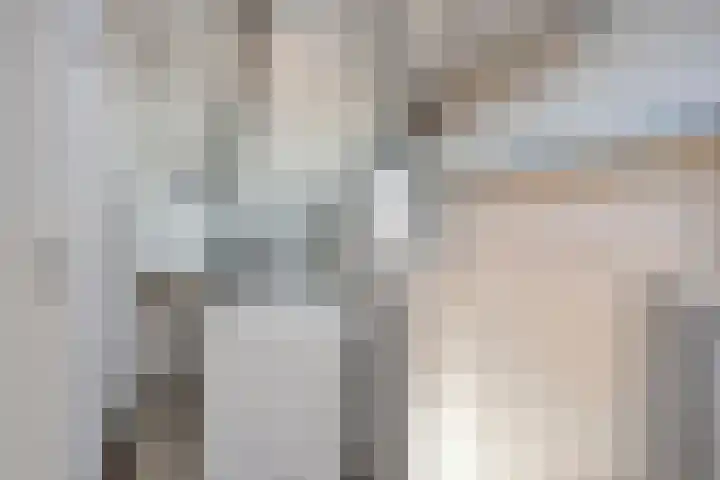 Laan Eindeloos 14 Heiloo thumbnail 28