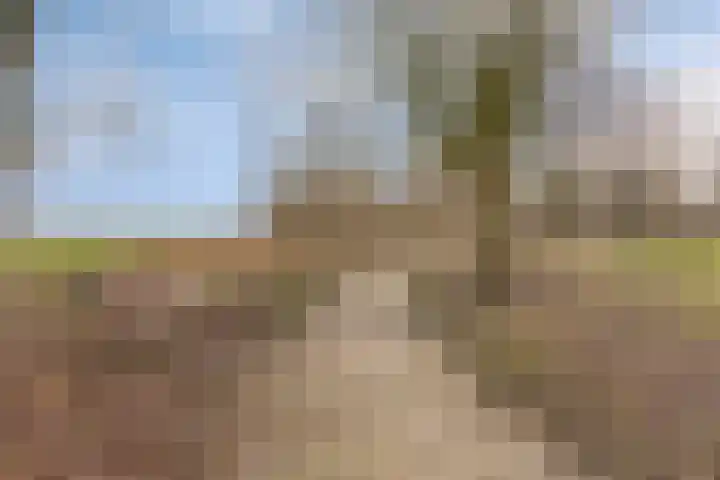 Laan Eindeloos 14 Heiloo thumbnail 33
