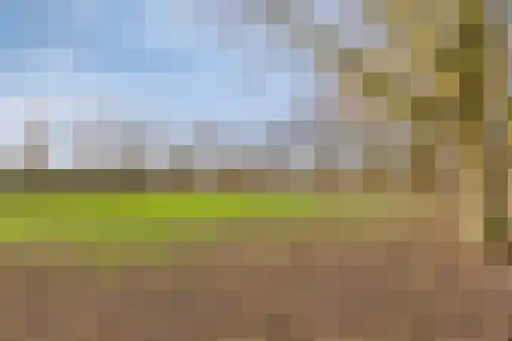 Laan Eindeloos 14 Heiloo thumbnail 34