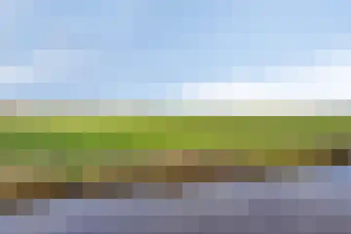 Laan Eindeloos 14 Heiloo thumbnail 35