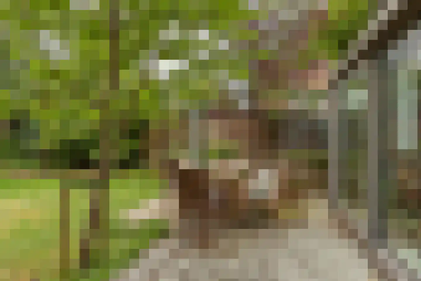 Laan Hofrust 1 a Rijswijk thumbnail 32