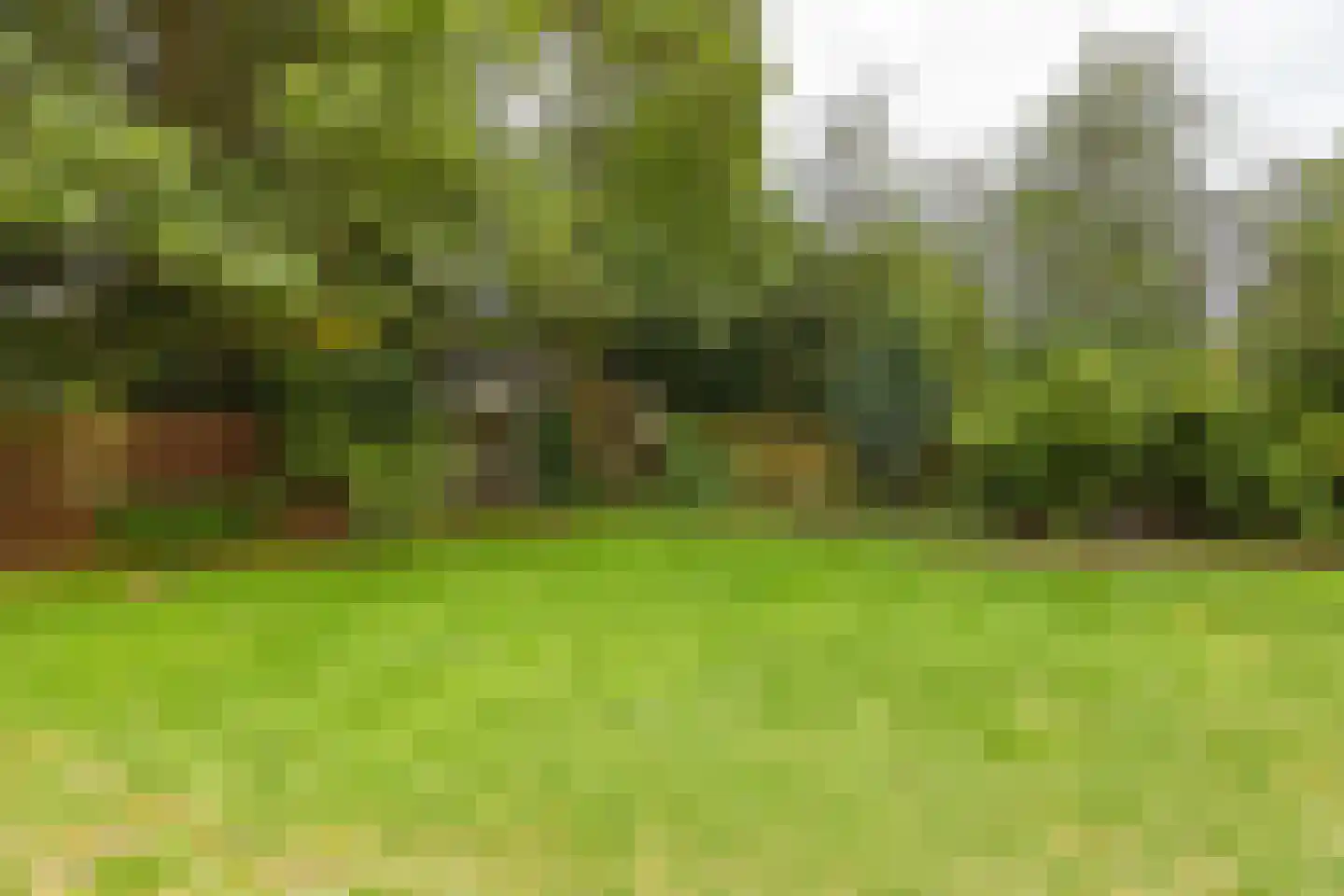 Laan Hofrust 1 a Rijswijk thumbnail 36