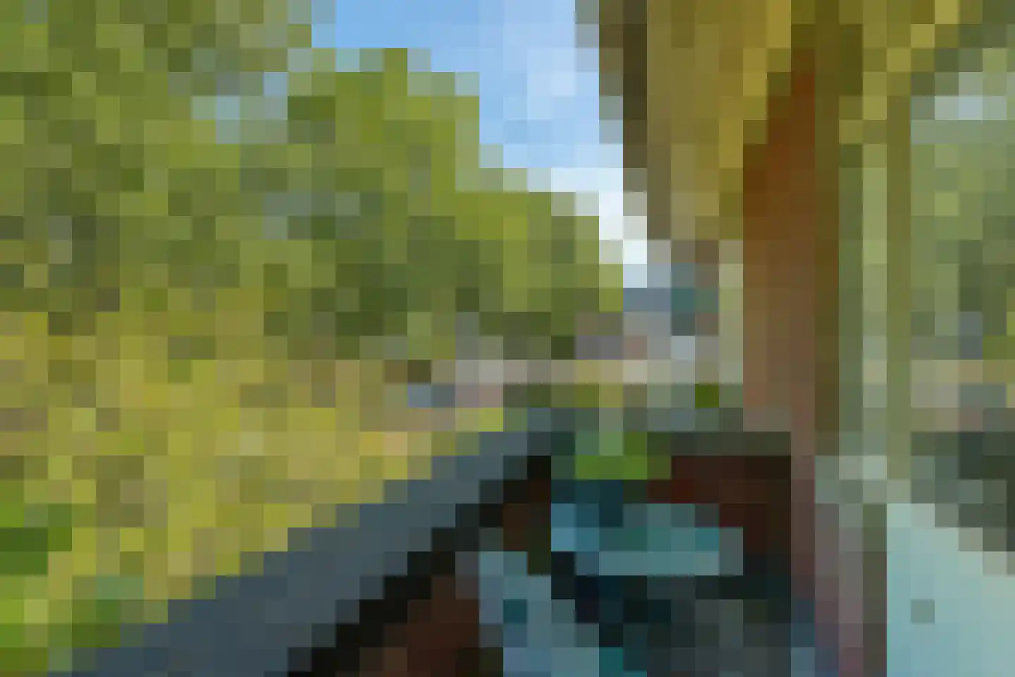 Laan Hofrust 1 a Rijswijk thumbnail 63