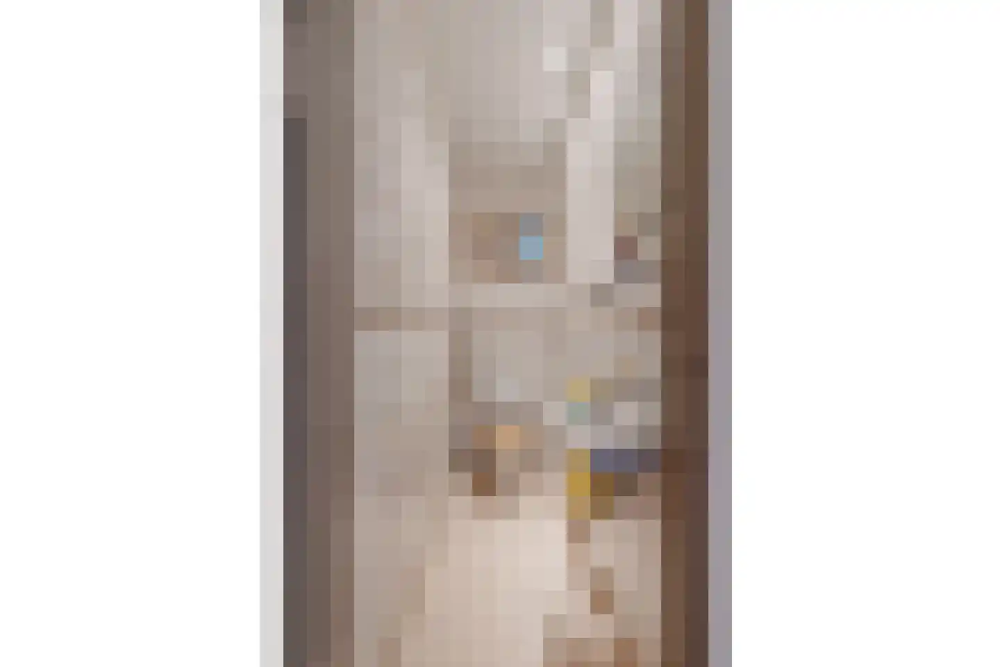 Laan Hofrust 1 a Rijswijk thumbnail 65