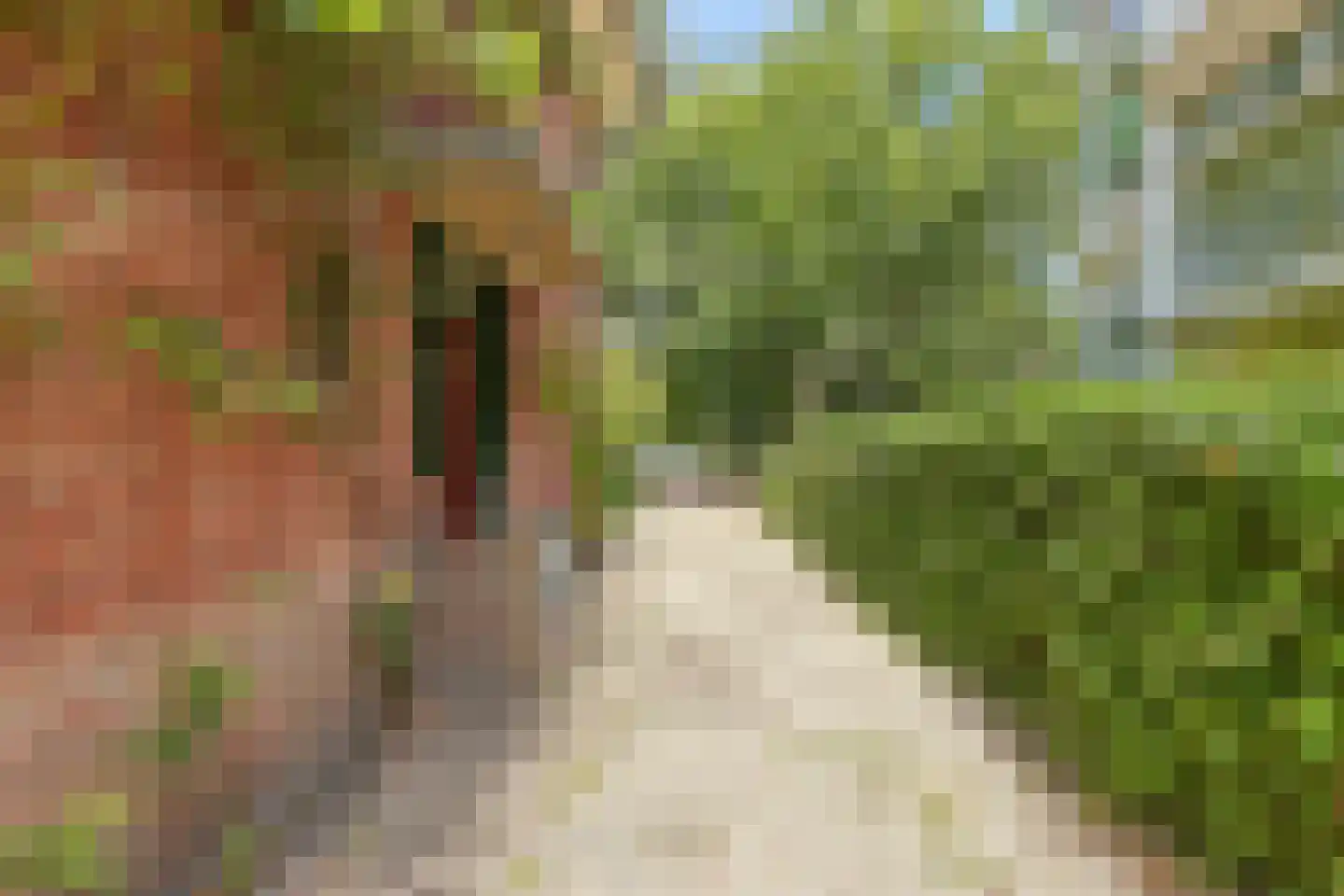 Laan Hofrust 1 a Rijswijk thumbnail 83