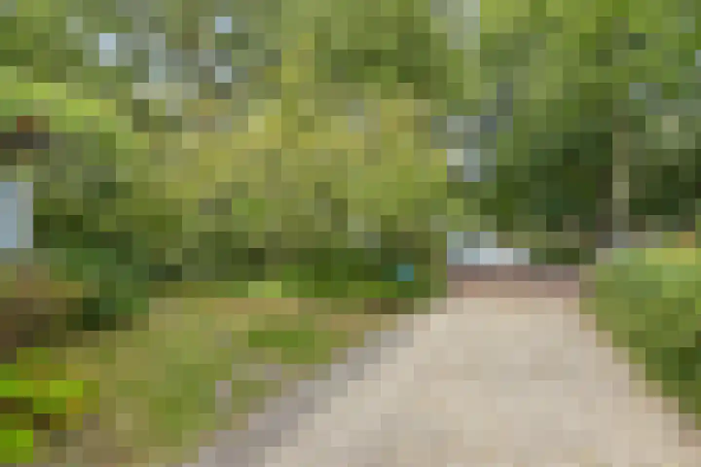 Laan Hofrust 1 a Rijswijk thumbnail 85